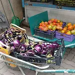 Nonna Merj Gospodarstwo agroturystyczne Albenga