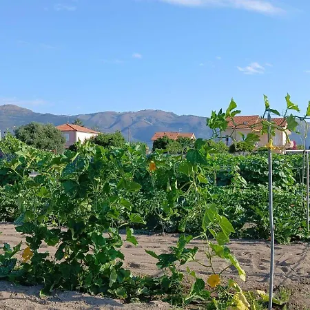 Nonna Merj Agroturismo