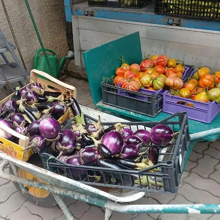 Nonna Merj مزرعة للإقامة ألبينغا