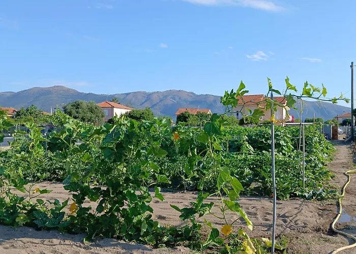 Nonna Merj Agroturismo