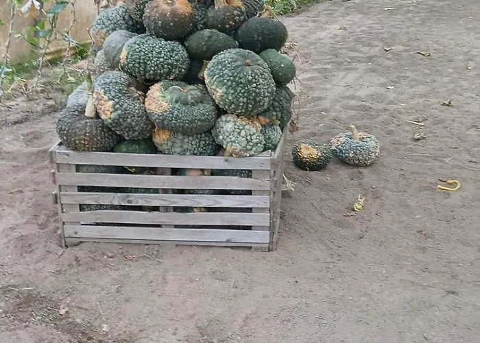 Nonna Merj Agroturismo