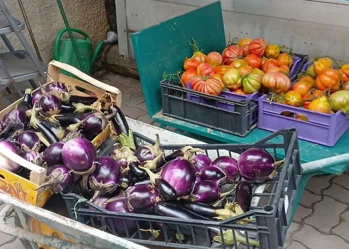 Nonna Merj Feriegård Albenga